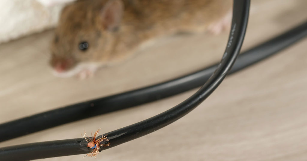 keep pests out of your heating and air system