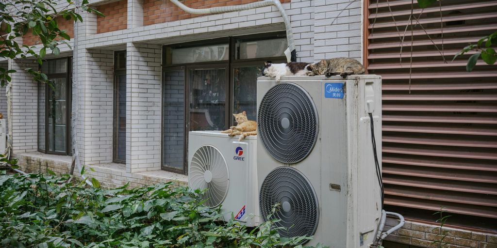 Cats are lounging on an outdoor air conditioning unit.