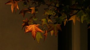 a tree branch with some leaves on it